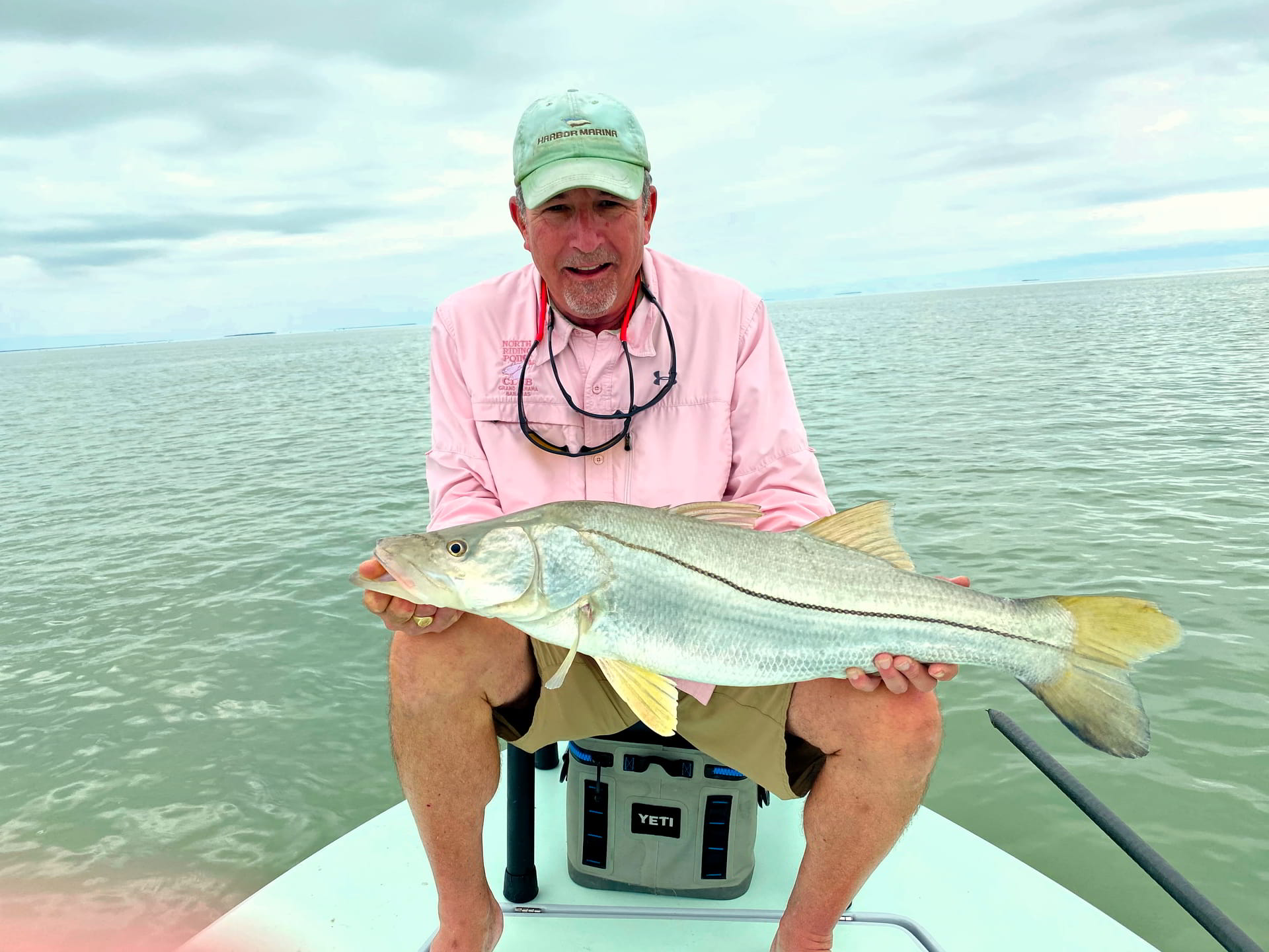 Snook